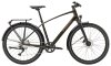 Trek Dual Sport 3 EQ M Black Olive